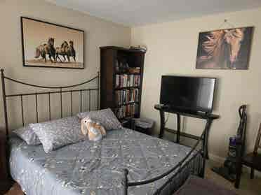 Carlsbad condo