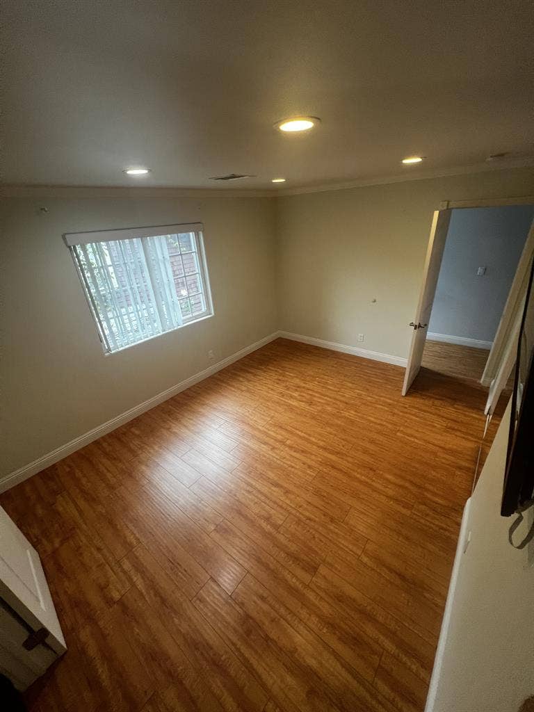 Los Feliz Pool Paradise