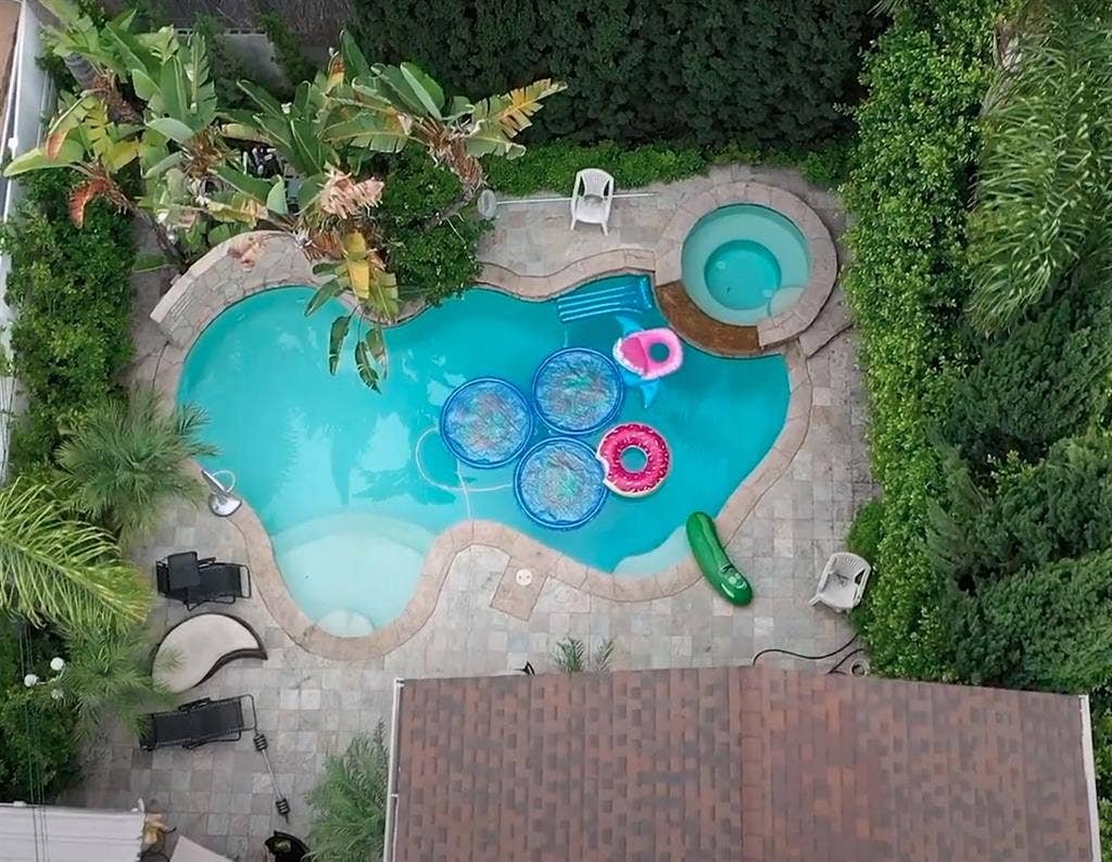Los Feliz Pool Paradise