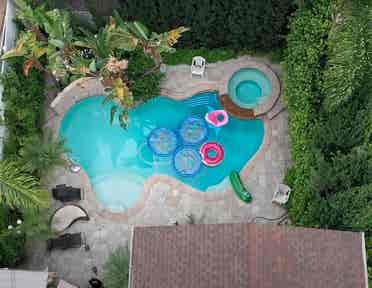 Los Feliz Pool Paradise