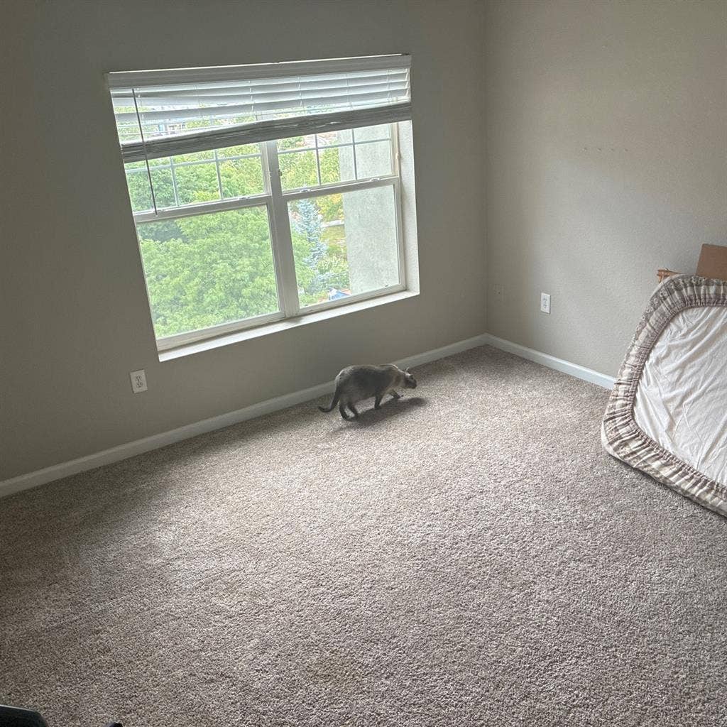 Spacious room with a Mountain View!