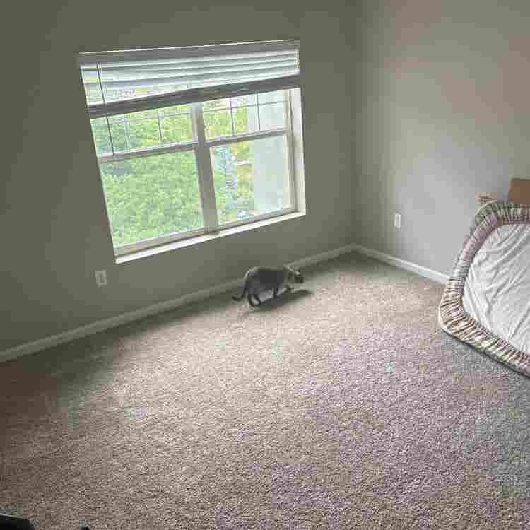 Spacious room with a Mountain View!