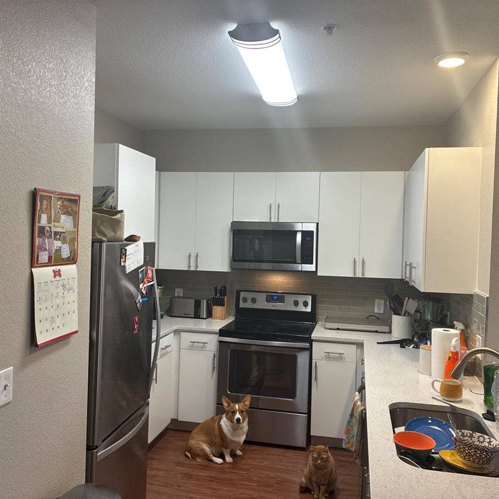 Spacious room with a Mountain View!