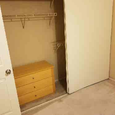 Large room for rent $