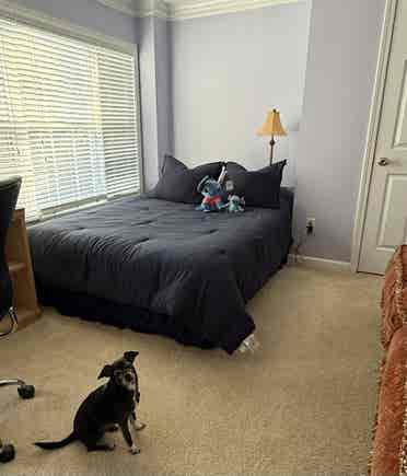 Furnished room with bathroom