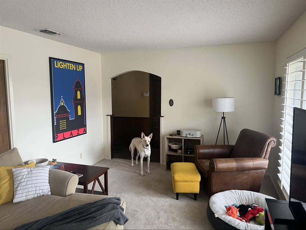 Large Yard - Mid/Late s Household