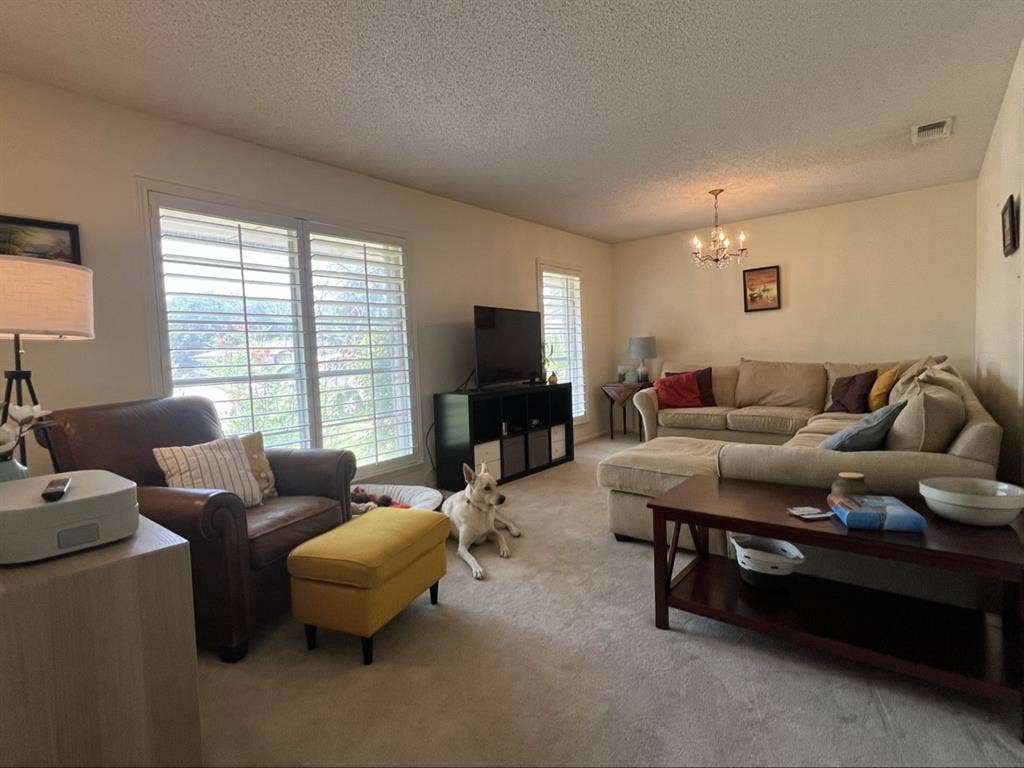Large Yard - Mid/Late s Household