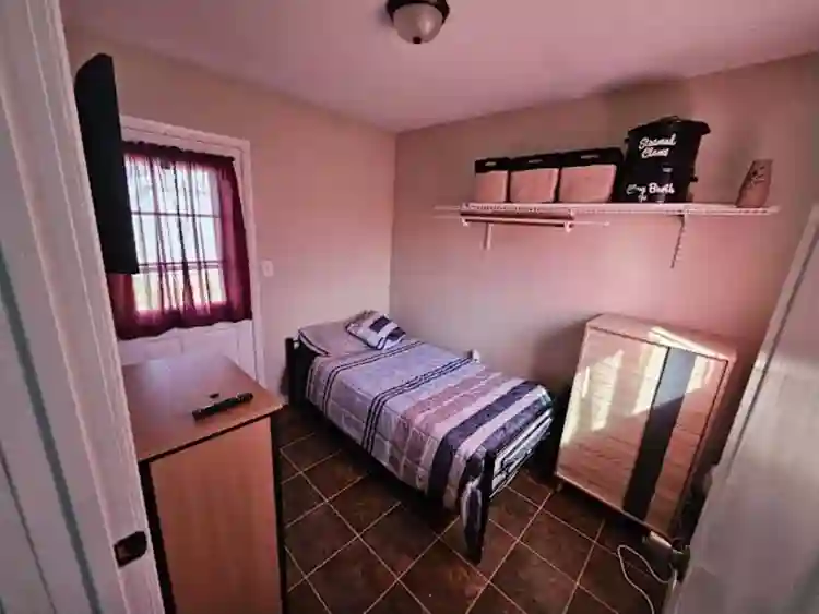 Rating:⭐️⭐️⭐️⭐️⭐️
Available Now