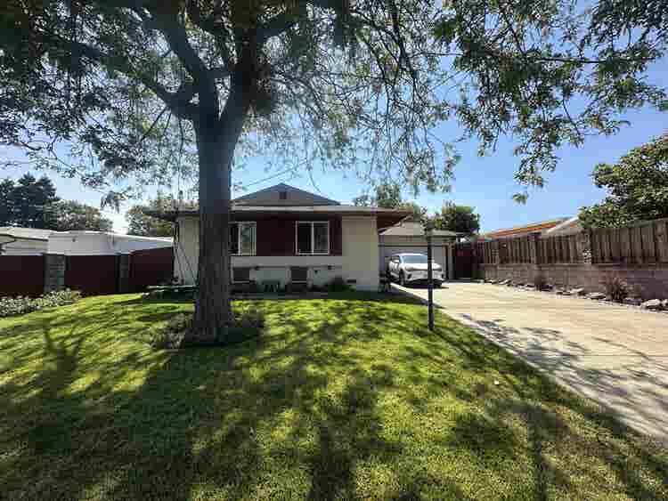 Home with backyard orchard