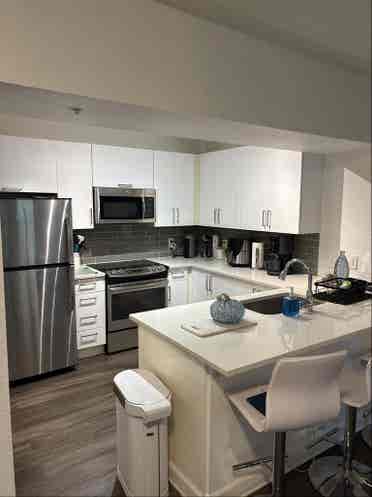 Looking for roommate in Sophia