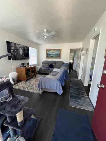 Large room in three bd house