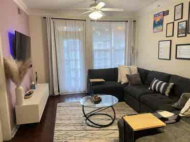 Furnished 1BR Apartment in Buckhead