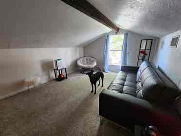 Teacher Seeking Tenant