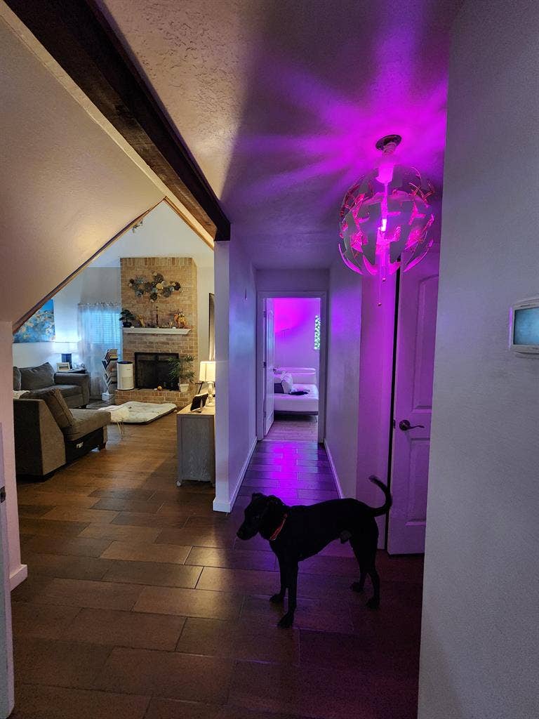 Teacher Seeking Tenant