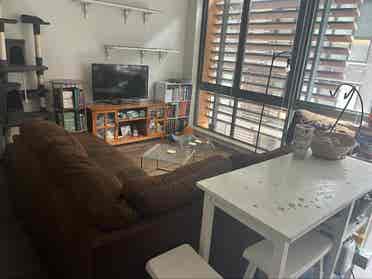 Roommate in NoMa BA - Sept