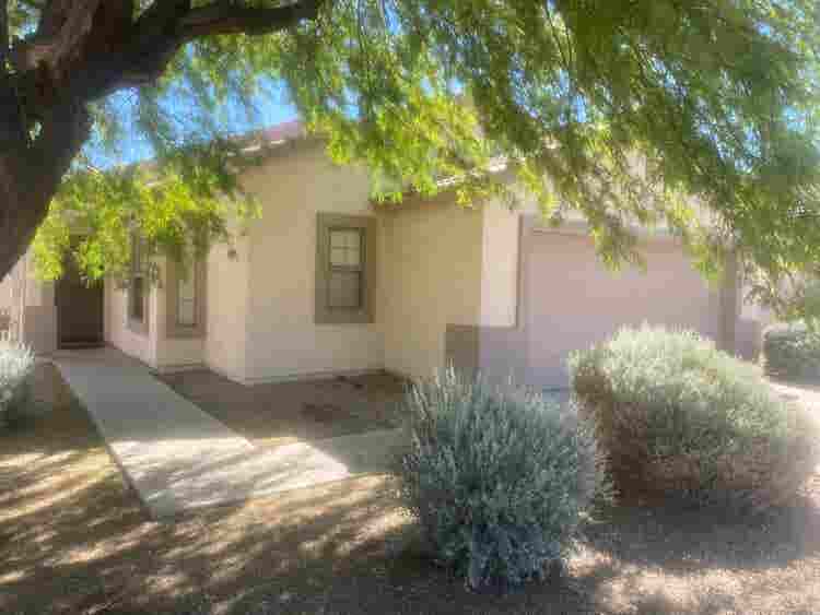 Room for Rent in Estrella Mountain
