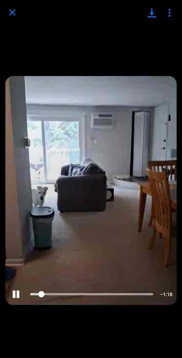 Room Available Beginning of October