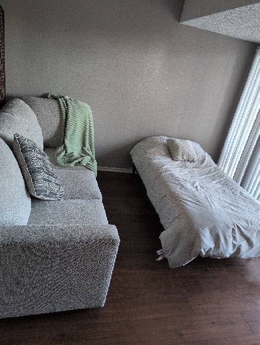 Looking for a Female Roommate