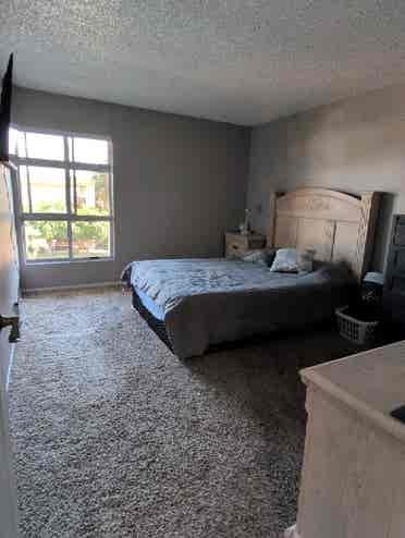 Looking for a Female Roommate