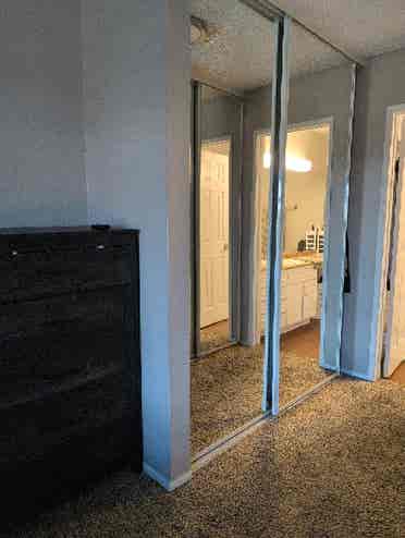 Looking for a Female Roommate