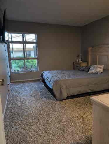 Looking for a Female Roommate