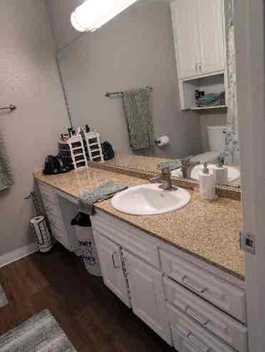 Looking for a Female Roommate