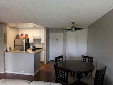 Looking for a Female Roommate