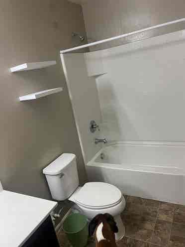 Room for rent in W phoenix