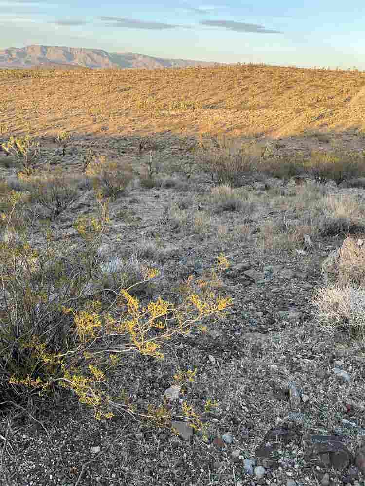Thirteen hundred sqft, 
OffGrid