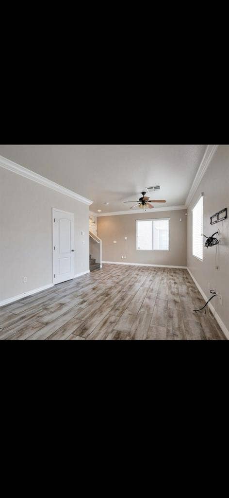 Room for Rent, Pet Friendlyy