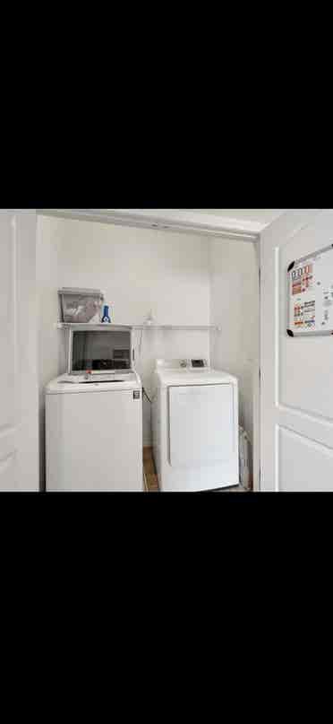 Room for Rent, Pet Friendlyy