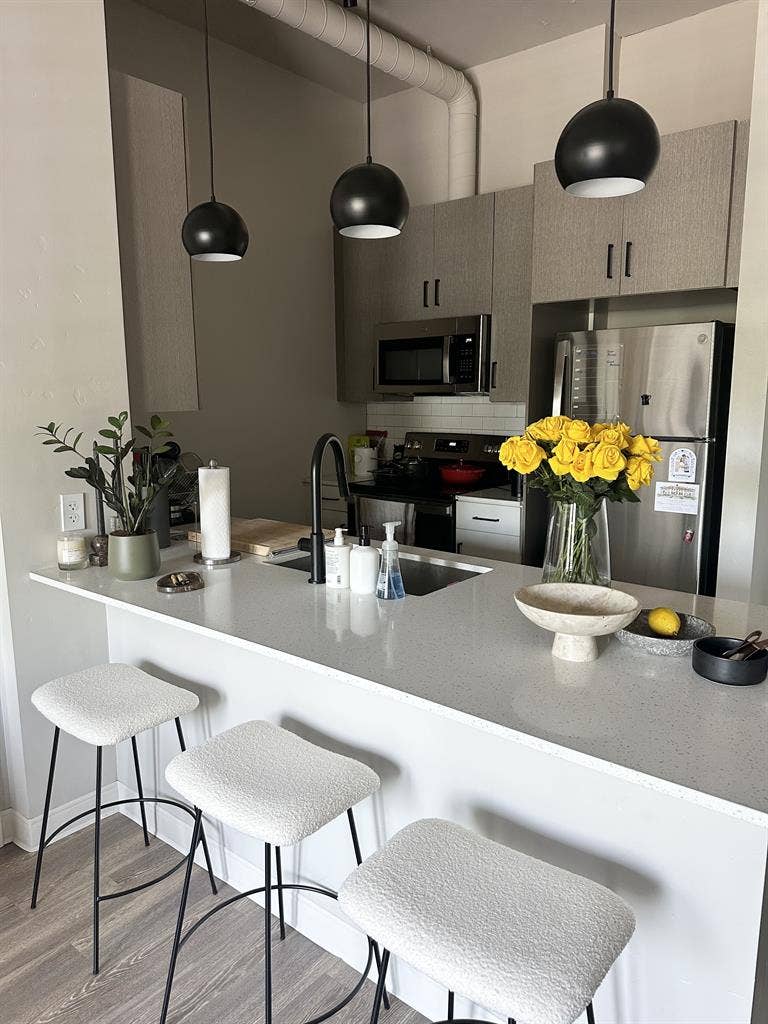 BA Apartment - Downtown Boise