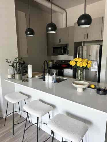 BA Apartment - Downtown Boise