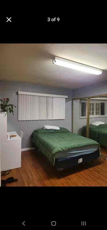 Room for free of rent