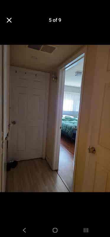Room for free of rent
