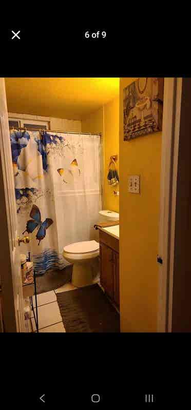 Room for free of rent