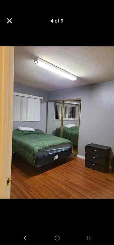 Room for free of rent