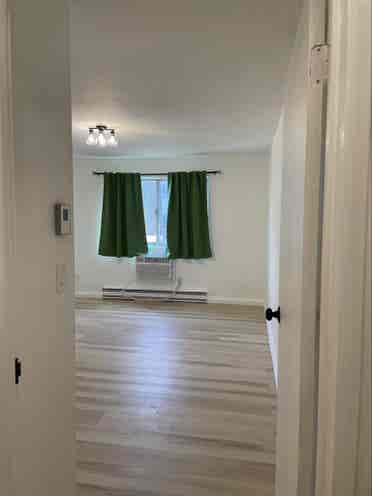 Newly renovated 1 bedroom condo