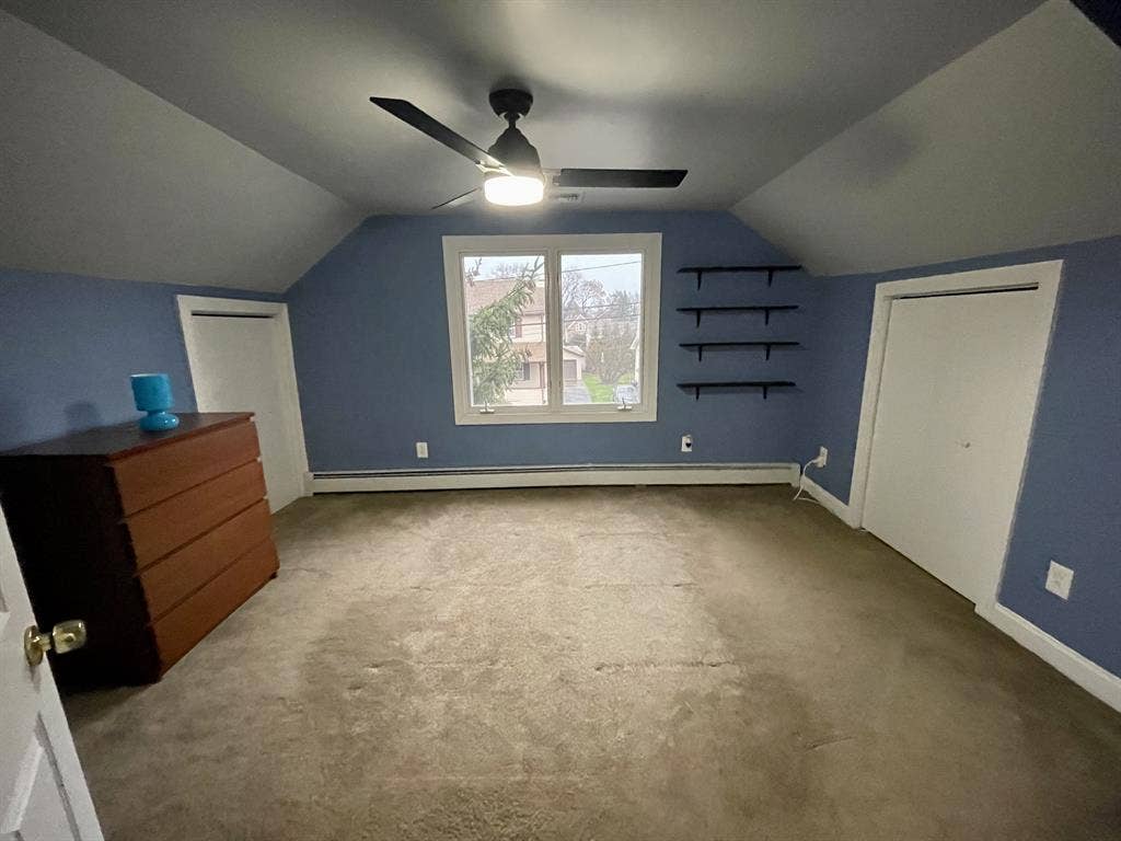 Roommate/Housemate needed