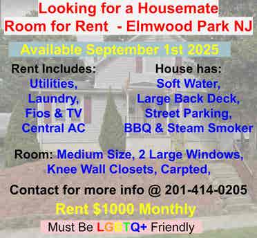 Roommate/Housemate needed