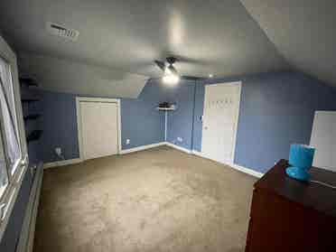 Roommate/Housemate needed