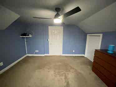 Roommate/Housemate needed