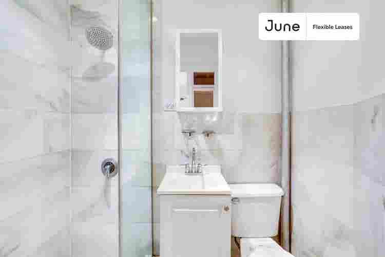 1 BR in New York City
