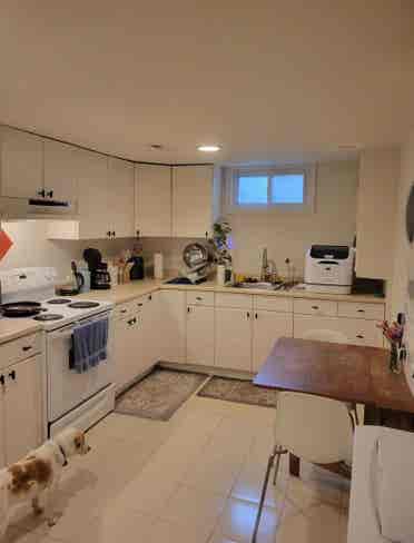 Lovely Takoma Park Flat