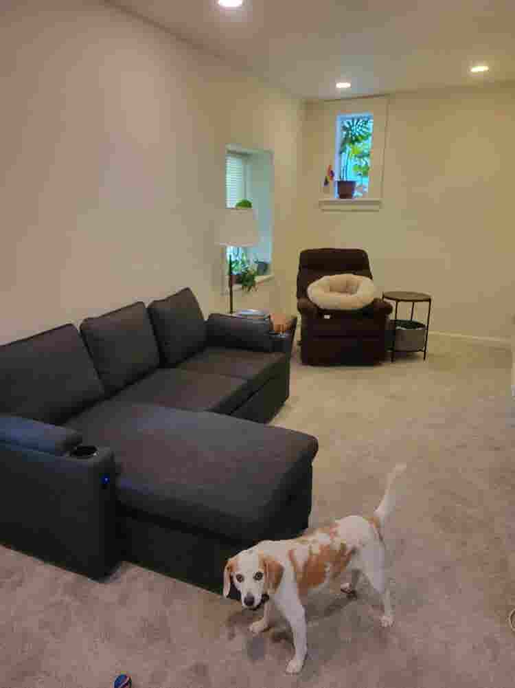 Lovely Takoma Park Flat