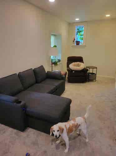 Lovely Takoma Park Flat