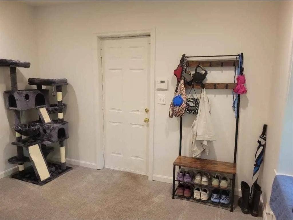 Lovely Takoma Park Flat