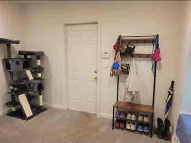 Lovely Takoma Park Flat