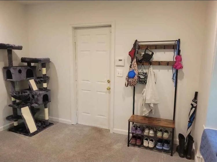 Lovely Takoma Park Flat