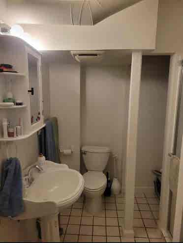 Lovely Takoma Park Flat